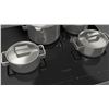 Image 2 : BNIB - Fulgor 24" 700 Series Glossy Black Electric Cooktop, RV: $1,219 - Model F7RT24S1
