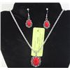 Image 1 : NEW JEWELRY DISPLAY W/ NECKLACE AND EARRING