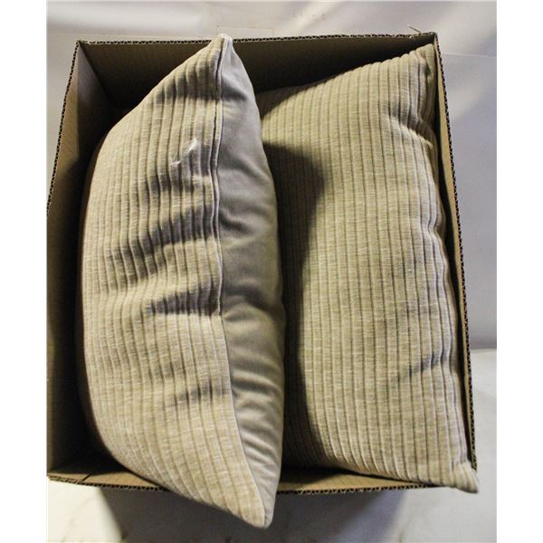 DOWN FILLED ACCENT PILLOWS- SET OF 2