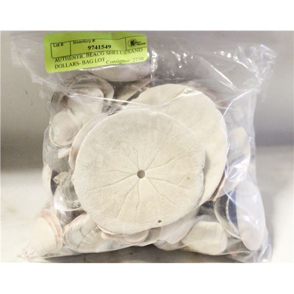 AUTHENTIC BEACG SHELLS/SAND DOLLARS- BAG LOT