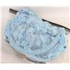 Image 1 : NEW- XS BLUE BRA AND PANTY SET.
