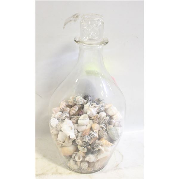 JAR FULL OF LITTLE SEASHELLS