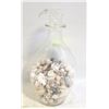 Image 1 : JAR FULL OF LITTLE SEASHELLS