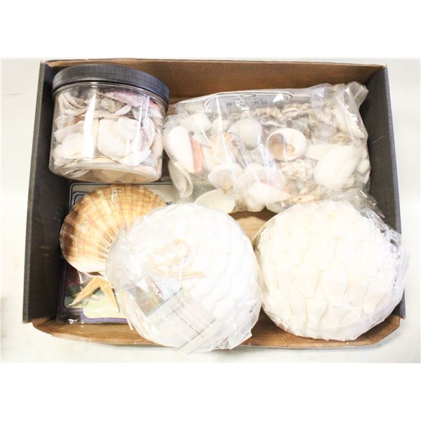 FLAT OF SEASHELLS