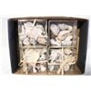 Image 1 : FLAT OF SEASHELLS