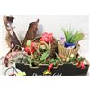 Image 1 : COLLECTION OF OUTDOOR DÉCOR
