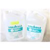 Image 1 : NEW 2 SEALED SOLVABLE 3.78L HAND SANTIZER "MADE IN
