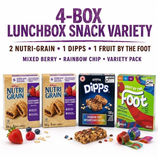 4 LUNCHBOX SNACK VARIETY PACKS BB 06/26