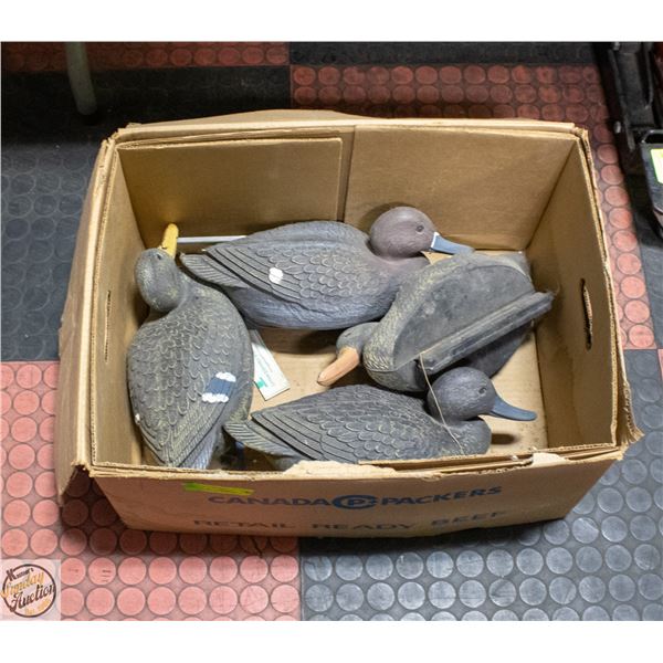 4 MALLARD DUCK DECOYS