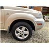 Image 26 : PARKSVILLE - 2005 NISSAN X-TRAIL GOLD 198629 KMS - 001361-3