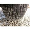 Image 24 : PARKSVILLE - 2007 CHEVROLET TRAILBLAZER GRAY  KMS - 287876-3