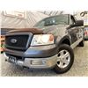 Image 1 : PARKSVILLE - 2004 FORD F-150 GREY 259293 KMS - B70363-3