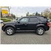 Image 15 : DUNCAN - 2008 FORD ESCAPE BLACK 222664 KMS - D98029-1