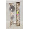 Image 1 : SPECIALTY SEASHELL CANDLE STAND PLUS NEW DÉCOR