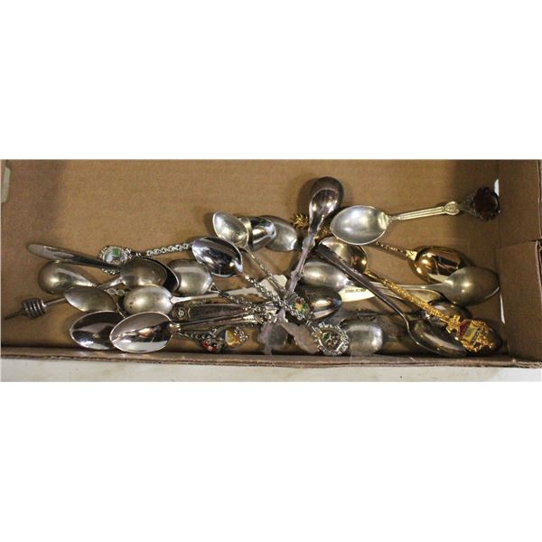 COLLECTOR SPOONS ASSORTED LOT