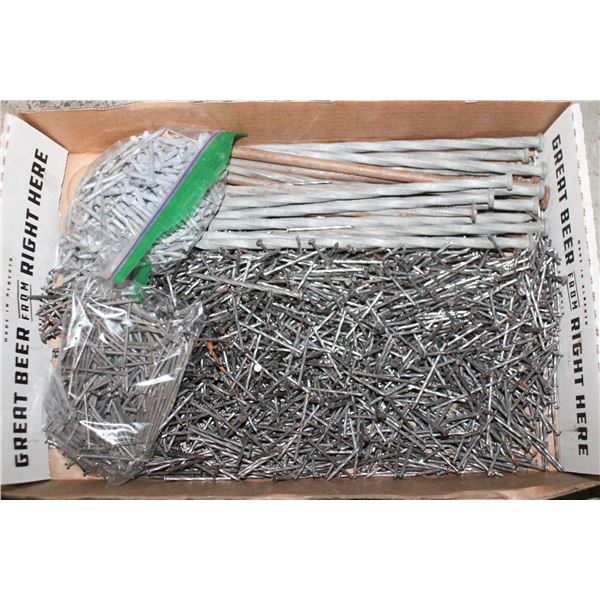 FLAT OF NAILS AND LARGE SPIKES