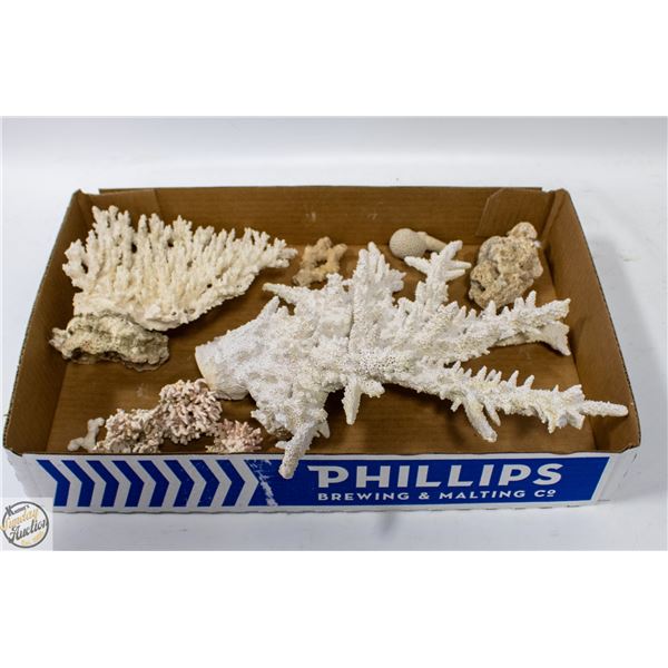 ESTATE GENUINE CORAL COLLECTION INCLUDES