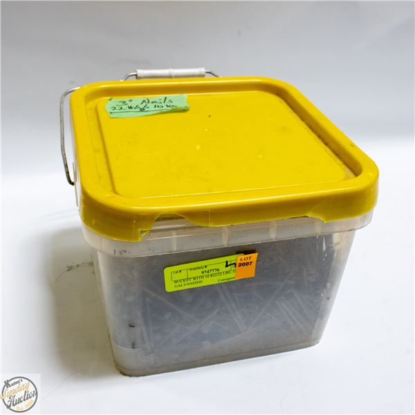 BUCKET WITH 10 KG/22 LBS. OF 3" GALVANIZED