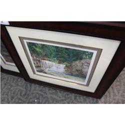 Limited Edition Print "Woodland Waterfalls"