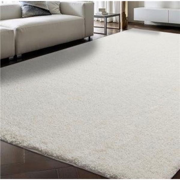 Customer Return – Looks New CAM Wellington Super Soft Shag Area Rug – 7’1
