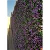 Image 4 : Brand New GreenSmart Dekor Lavender Artificial Wall Panels – 12-Piece Set – 20 × 2