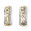 0.66 ctw Diamond Earrings in Two-Tone