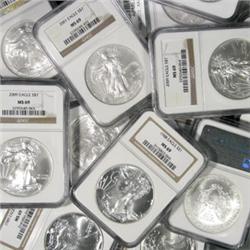Lot of 10 MS 69 SILVER EAGLE SLABS