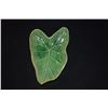 Image 4 : HAWAIIAN POTTERS GUILD LEAF DISHES (3 PCS)