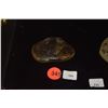 Image 1 : CHINESE NEPHRITE JADE LOTUS ROOT (2 3/8" X 1 1/2")