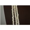 Image 4 : 3 STRAND PUPU O NIIHAU PIKAKE STYLE, MOMI-KEOKEO (WHITE DOVE SHELLS) W/POLEHOLEHO APA'UPU'A (BUMPY C