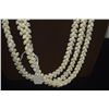 Image 5 : 3 STRAND PUPU O NIIHAU PIKAKE STYLE, MOMI-KEOKEO (WHITE DOVE SHELLS) W/POLEHOLEHO APA'UPU'A (BUMPY C