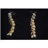Image 2 : PUPU O NIIHAU DROP EARRINGS, PIKAKE STYLE, MOMI KEOKEO, METAL 2-TONE (SILVER & GOLD) MOMI & PUKA SHE