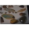 Image 6 : COLLECTION OF ARROWHEADS & STONE IMPLEMENTS (22 PCS) (DOES NOT INCLUDE CASE)