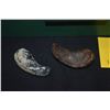 Image 3 : COLLECTION OF FOSSILS (6 PCS)
