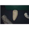 Image 4 : COLLECTION OF FOSSILS (6 PCS)