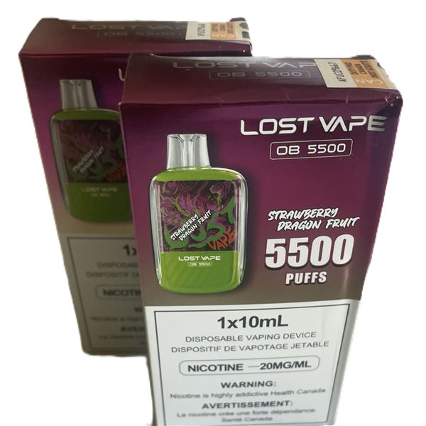 TWO Lost Vape OB5500 disposable vape boxes in the flavors Strawberry Dragon Fruit