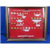 Image 1 : 39 RCMP Buttons by Various Manufacturers in Wood & Plexiglass Display Case