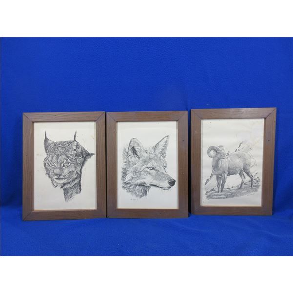 3 Framed Prints by Hap Wilson '80 - 13 1/2" x 10" - Have water damage & spots