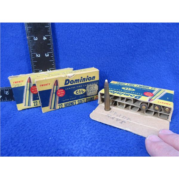 Collector Ammo - 22 Hornet 45gr SP Dominion Cartridges (Pick Up Only)