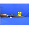 Image 5 : Non-Restricted - Tikka Model M595 in 22-250 Rem