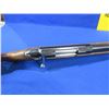 Image 9 : Non-Restricted - Tikka Model M595 in 22-250 Rem
