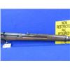 Image 7 : Non-Restricted - Japanese Arisaka Model Type 38 in 6.5x50