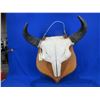 Image 1 : Mounted Buffalo Skull - Consignor Lists as from Northern Alberta Ranch