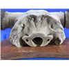 Image 4 : Mounted Buffalo Skull - Consignor Lists as from Northern Alberta Ranch