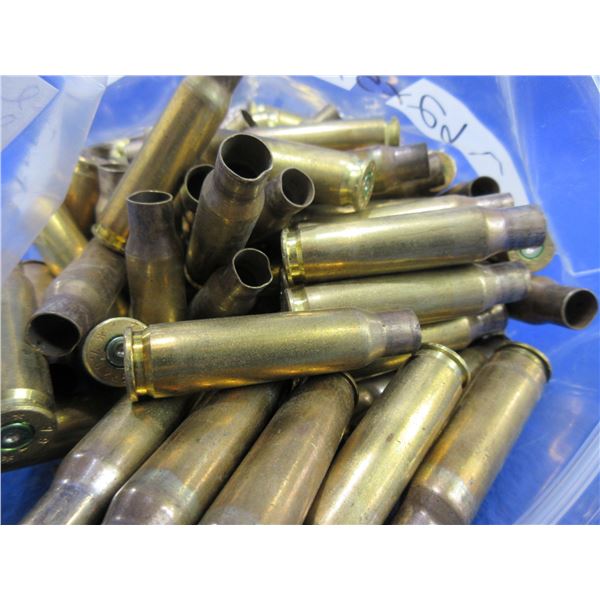 Brass Only - 7.62X51 Unprimed - Bag of Approx. 120