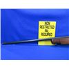 Image 4 : Non-Restricted - Cooey Model 75 Single Shot in 22LR