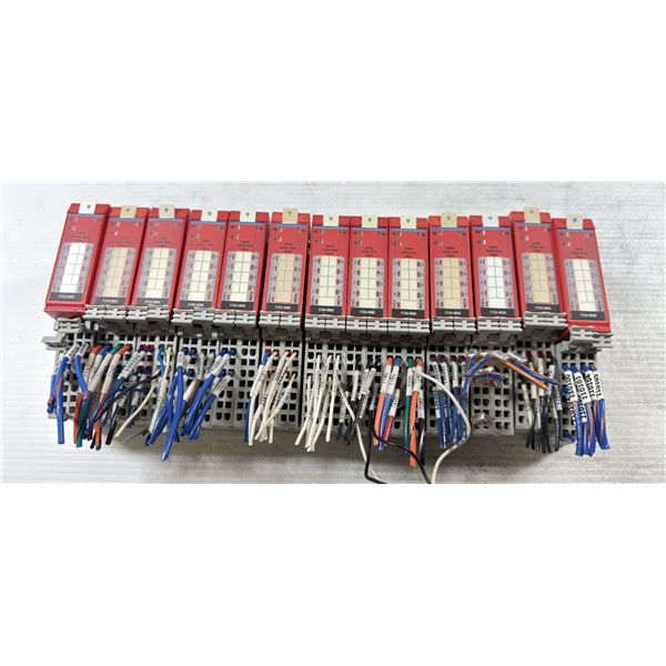 Lot of (13) Allen-Bradley #1734-IB8S