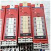 Image 4 : Lot of (13) Allen-Bradley #1734-IB8S