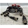 Image 2 : Lot of (11) Allen Bradley Photoelectric Sensors