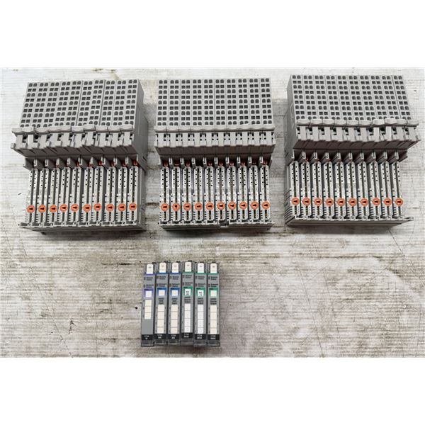 Lot of (36) Allen Bradley Mounting Bases & Modules